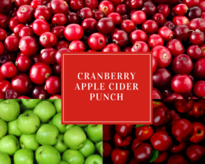 Cranberry Apple Cider Punch - Holiday Drink Recipes
