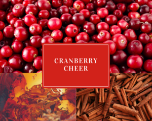 Cranberry Cheer Holiday Drink Recipes