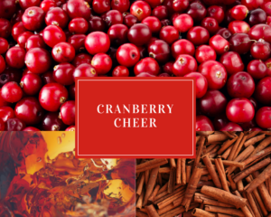 Cranberry Cheer Holiday Drink Recipes